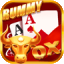 teen patti star yono logo
